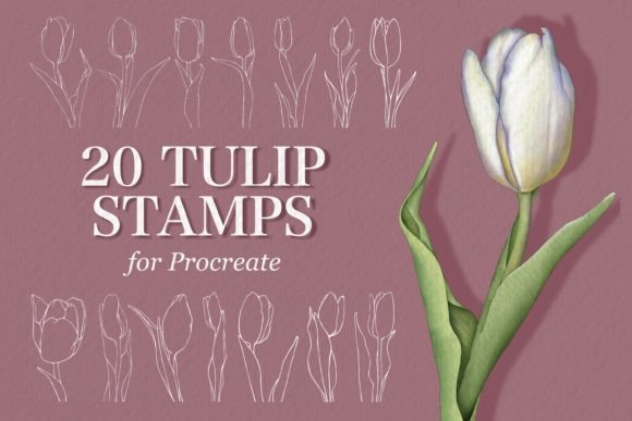 Tulip Stamps for Procreate: A Spring Design Toolkit
